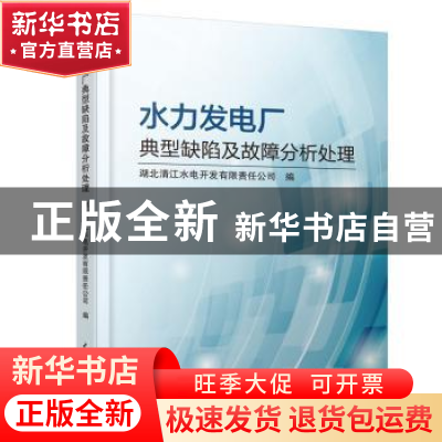 正版 水力发电厂典型缺陷及故障分析处理 湖北清江水电开发有限责