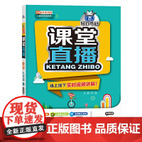 1+1轻巧夺冠 课堂直播:九年级数学(下)·湘教版(2021春)