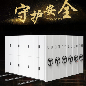 匡大钢制文件柜密集架档案柜密集架