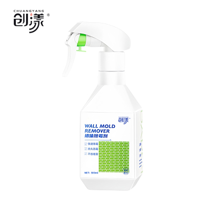 创漾(CHUANGYANG)CN2041 新一代 除霉剂500ml(计价单位:瓶)