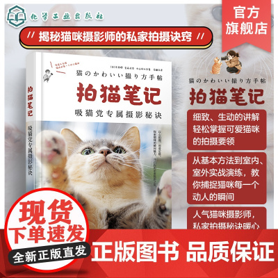 拍猫笔记 猫咪摄影师吸猫党专属摄影秘诀 猫咪爱好者拍摄指南捕捉猫咪魅力秘诀基础 相机设置 光线运用 构图技巧 宠物摄影参