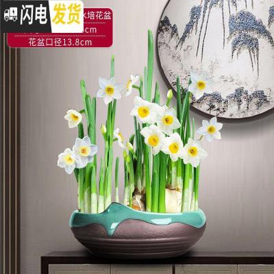 三维工匠新中式禅意铜钱水仙花专用水培花盆载植物好养创意陶瓷室内 哥窑绿惊涛骇浪(小)水培花盆(不含水仙) 20-花盆容器