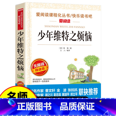 少年维特之烦恼 [正版]少年维特之烦恼 爱阅读无障碍精读版 带阅读注解名师导读版 天地出版社三四五六七年级中小学生青少年