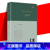 [正版] 浪游者/巴别塔诗典 (德国)荷尔德林 译者:林克 外国文学诗歌集 外国文学作品诗集精选经典散文诗歌诗词书