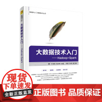 大数据技术入门——Hadoop+Spark 程序设计 清华大学出版社 正版书籍