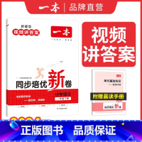 语文 一年级下 [正版]24秋小学语文数学上册同步培优试卷人教 一二三四五六年级上册测试卷 小学同步练习卷 24秋同步训