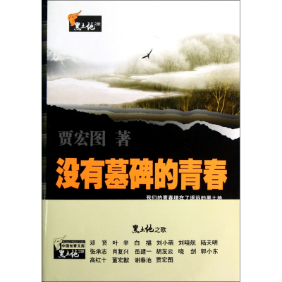 音像没有墓碑的青春/黑土地之歌贾宏图