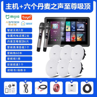 先科(SAST)智能AI家庭吸顶音响套装家用客厅无线蓝牙吊顶(内置精灵)智能K歌主机+6个8英寸HiFi至尊同轴吸顶音响