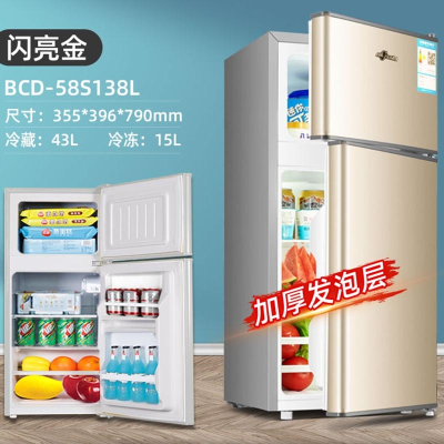 复古网红小冰箱家用小型租房切夫曼小居室办公室电冰箱_58升双门闪亮金