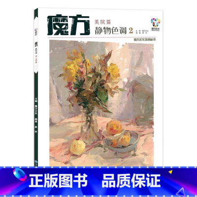 [正版]2019 魔方静物色调2魔方文化美院篇色彩静物基础杭州国美