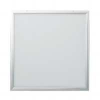 晫安联 ZX009C AC220/DC220V 40W IP54 5000K LED 应急面板灯 (计价单位:盏) 白色