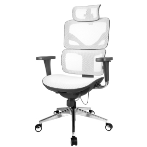 家柏饰(CORATED)[保证]享耀家 FA 人体工学椅 网布 电脑椅 电竞 游戏 办公