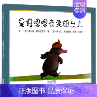 是谁嗯嗯在我的头上 绘本 [正版]彩虹色的花 绘本精装儿童书儿童绘本一年级启蒙认知绘本课外书阅读书籍 麦克格雷涅茨作品