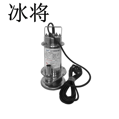 冰将 220V全不锈钢潜水电泵 清水泵 台