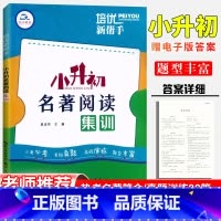 小升初名著阅读集训 小学通用 [正版]2025培优新帮手小升初名著阅读集训小学语文名著阅读训练安徒生童话水浒西游四大名著