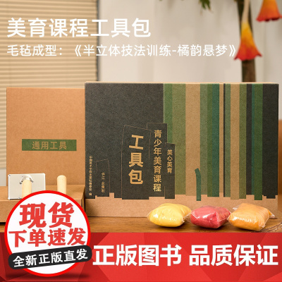 中国美术学院出版社 青少年美育课程工具包 羊毛毡半立体技法训练主题套装DIY创意手工玩具