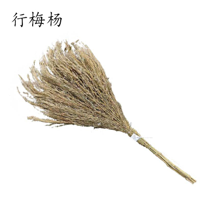 行梅杨 竹扫把 3.5斤 把