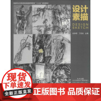 设计素描 史钟颖,丁密金 编 大学教材大中专 正版图书籍 中国林业出版社
