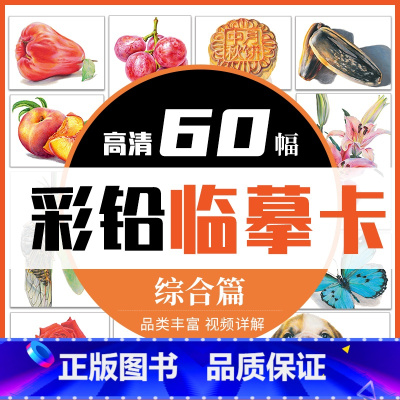 [正版]彩铅临摹卡综合篇60幅 一线美誉步骤对应视频详解美术绘画卡片兴趣高清原创