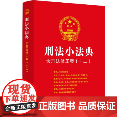 2024新书 刑法小法典 含刑法修正案 十二 中国法制出版社 9787521641035