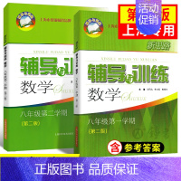 数学 八年级上+下(2本) 初中通用 [正版]新思路辅导与训练六年级上数学七年级八年级下物理九年级化学 6789年级上