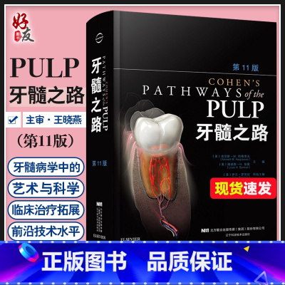 [正版] 牙髓之路 第11版 口腔书籍医学类专业书籍 牙髓病学的高阶科学 牙科牙髓治疗根管治疗图谱 978755910