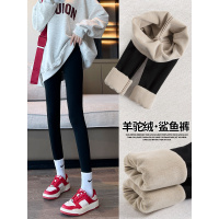 加绒鲨鱼裤女外穿新款春秋款大码紧身冬季加厚保暖棉裤打底裤_21