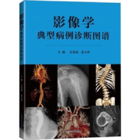 音像影像学典型病例诊断图谱汪登斌,张玉珍主编