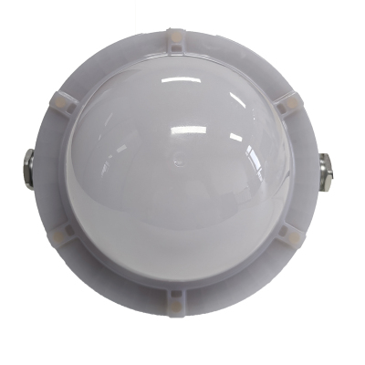 光大特照 EBF605(LQ)-48 48W 220V IP66 LED平台灯 (计价单位:个) 银白色