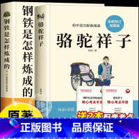 [全2册]骆驼祥子+钢铁是怎样炼成的(送考点) [正版]骆驼祥子七年级必读原著老舍完整版钢铁是怎样炼成的初中人教版刚铁是