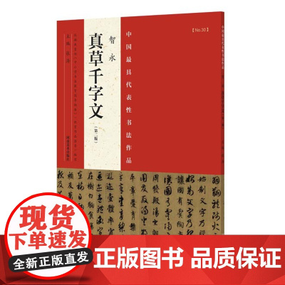 正版 中国代表性书法作品 智永 真草千字文(第二版) 张海 河南美术