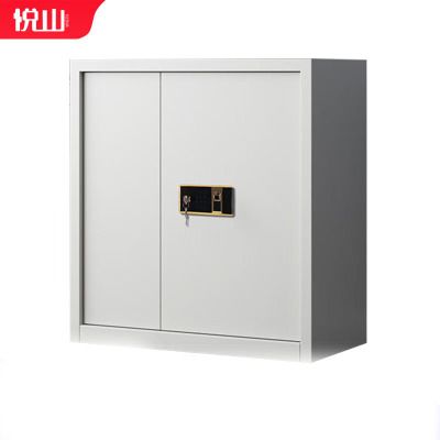 悦山无斗单节保密柜指纹密码锁YSOA3fo05ZWB