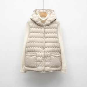 平湖驰新羽绒马甲新国标90绒秋冬新款轻薄连帽背心女简约羽绒内胆