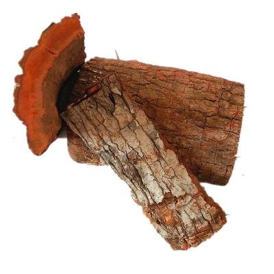 卡宾达树皮_卡宾达树皮推荐- 苏宁易购