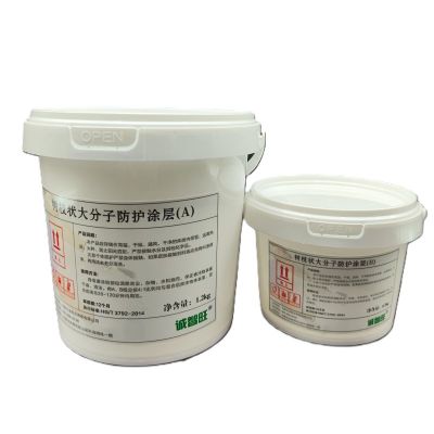 诚智旺 树枝状大分子防护涂层 白色 1.2kg+0.3kg /组