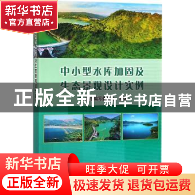 正版 中小型水库加固及生态景观设计实例 中小型水库加固及生态景