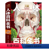 儿童人体百科全书(精) [正版]精装大开本 儿童人体百科全书 我们的身体儿童人体百科大全书硬壳彩图探秘人体奥秘6-10岁