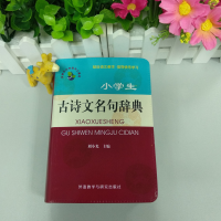 [M]小学生古诗文名句辞典 刘小光 编 -9787513532440