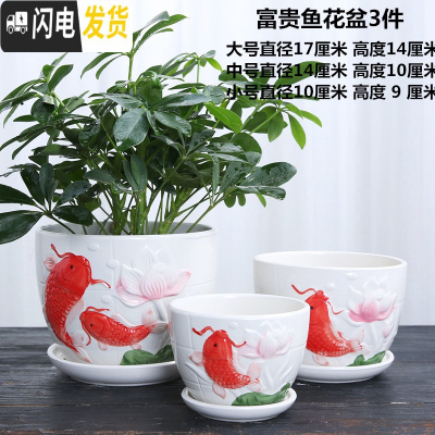 三维工匠花盆陶瓷家用大号塑料创意多肉植物小花盆带托盘批发客厅 富贵鱼花盆3件 大花盆容器