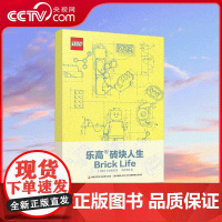 乐高 砖块人生Brick Life 带玩具 6块乐高2*4砖块有9亿多种拼法 你的人生却有无限可能 记录生活日常 实现