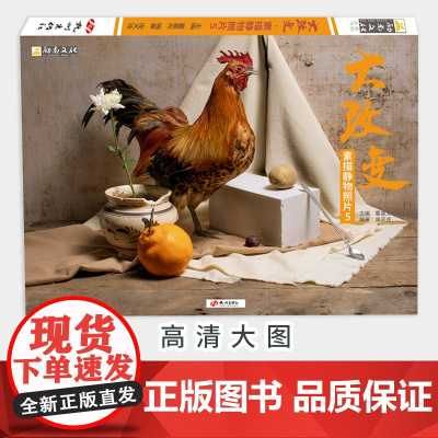 大改变素描静物照片5 励尚文化单体组合几何体静物照片写生对画陶罐生活杂物美术高考联考美院教材教程照片书籍