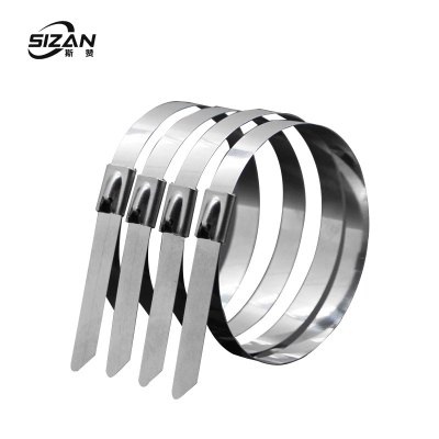 斯赞 304不锈钢扎带自锁式捆绑扎带 7.9*1100mm 100条/包