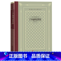 [正版]了不起的盖茨比 菲茨杰拉德 著 普通大众长篇小说美国现代小说书籍美国现代文学外国小说文学书籍文学小说情感故事外