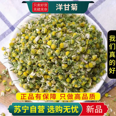 甄选小洋甘菊100克干无硫洋甘菊花草正品洋甘菊干货新货煮水泡茶
