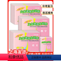 2023一模 试卷+答案[语数英物化政史]全套14册 [正版]2023年上海中考一模卷 语文数学英语物理化学历史道德法治