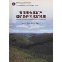 [M]青海省金属矿产成矿条件和成矿预测-9787562538912