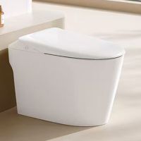 金牌卫浴GOLD R30Q脚感冲水 轻智能马桶 KA (含安装)RF3300Q