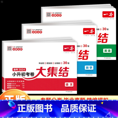 [全3册 小升初考卷大集结]语文+数学+英语 小学升初中 [正版]2024新版小升初冲刺新卷语文数学英语名校冲刺人教版小