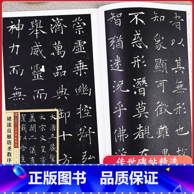 [正版]字帖传世碑帖精选彩色本 二辑褚遂良雁塔圣教序 楷书书法毛笔字贴初学者毛笔字帖入门练习 历代老碑帖法书选名品系列