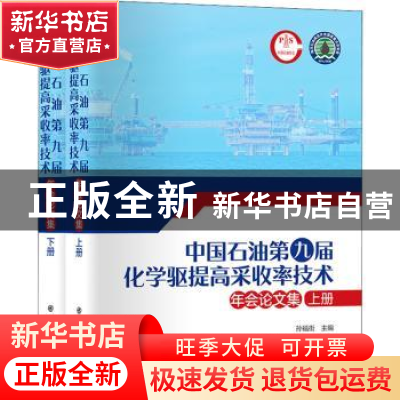 正版 中国石油第九届化学驱提高采收率技术年会论文集 孙福街主编